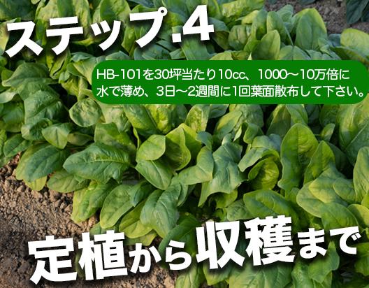 定植から収穫まで植物を支える活力剤